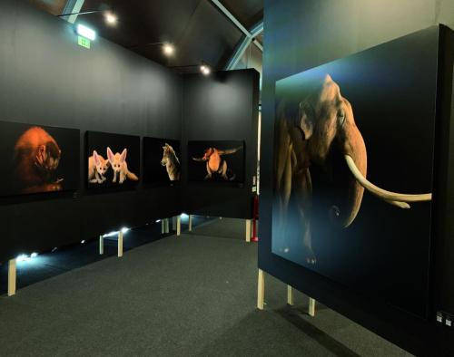 NATIONAL GEOGRAPHIC - Photo Ark World Exhibition